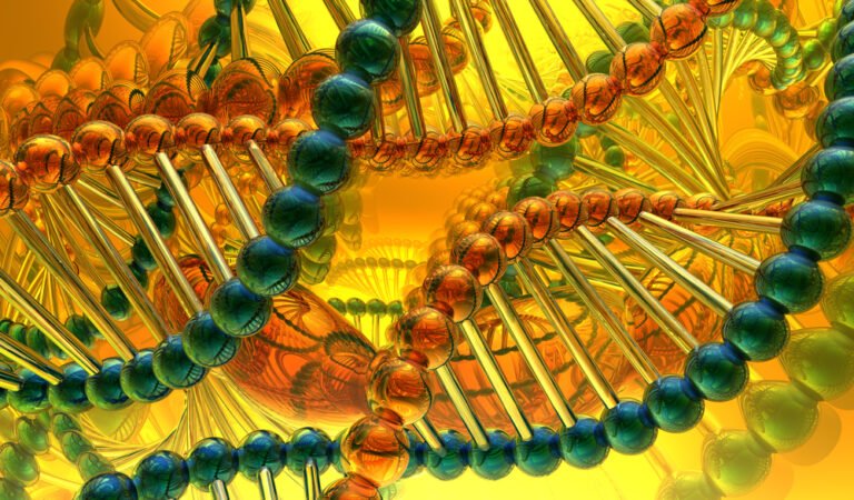 Beckwith-Wiedemann 증후군 •