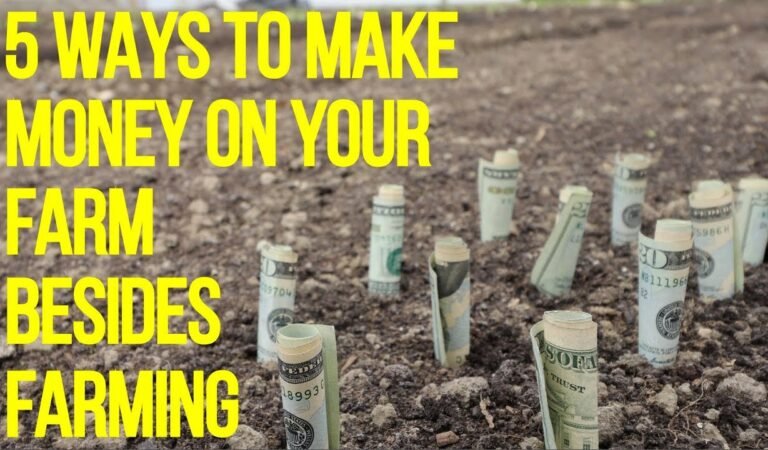 농장 외에 농장에서 돈을 버는 5 가지 방법