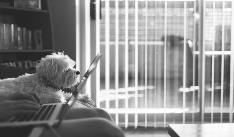 주요 원격 팀을위한 3 가지 지침 원리