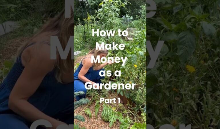 정원에서 돈을 버는 최고의 해킹은 당신의 경험이 생산되지 않는 것입니다! #garden #smallbusiness